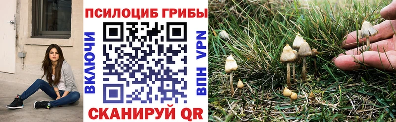 Купить закладки  Кунгур  Псилоцибиновые грибы прущие грибы 